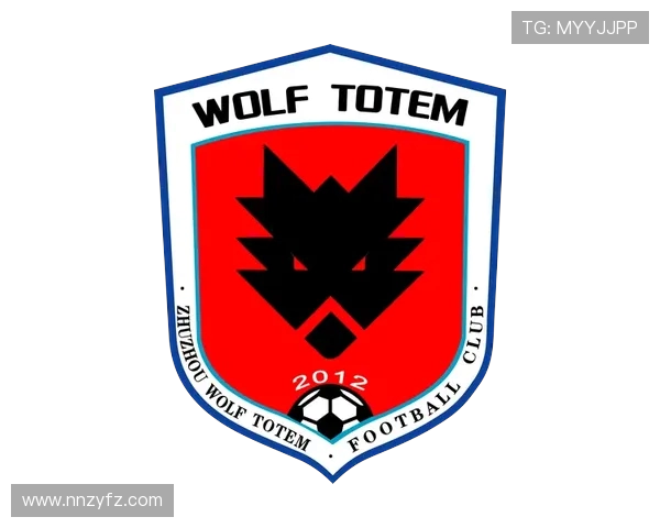 株洲狼腾足球俱乐部发展历程与未来展望分析 株洲狼腾足球俱乐部发展历程与未来展望分析