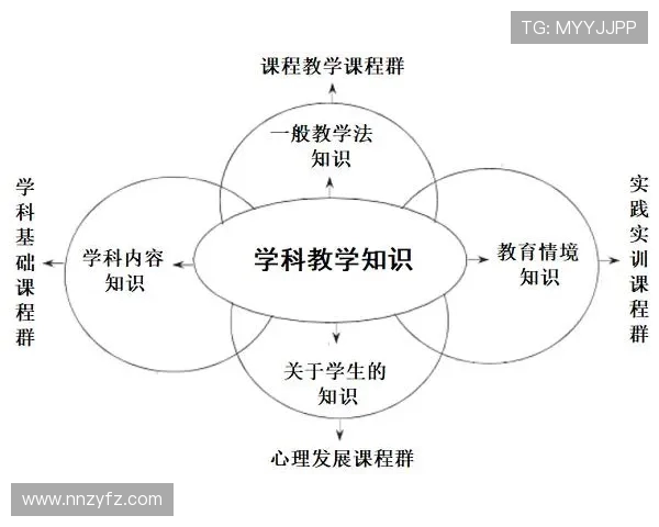 成都乒乓球队的战术创新与转换体系探讨与实践分析