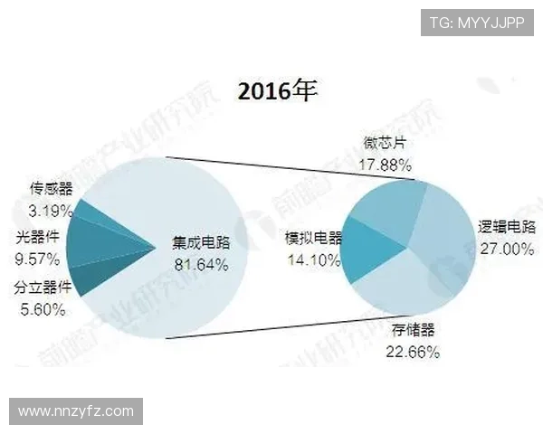 西安排球队的力量解析与发展前景探讨